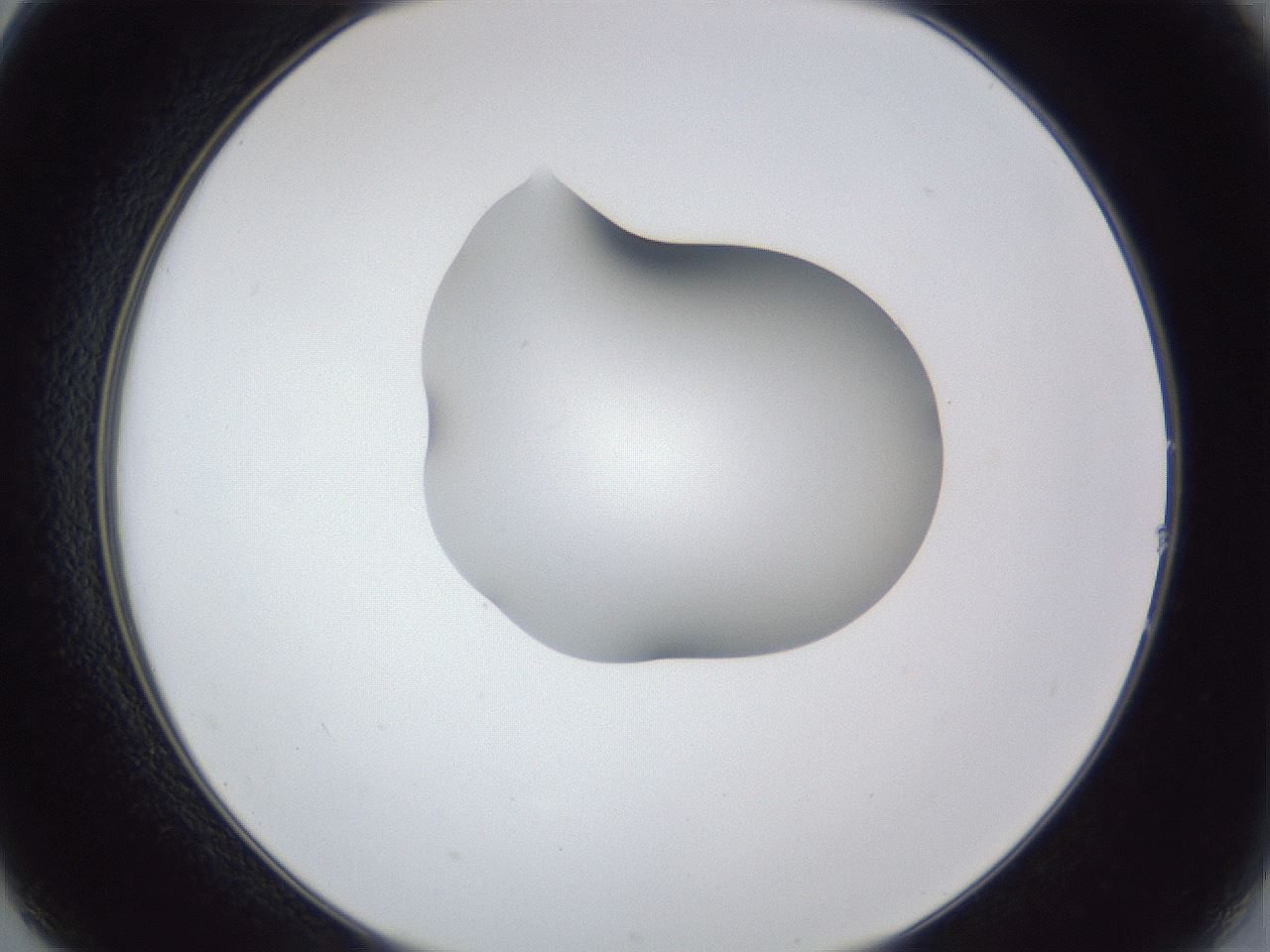 folderID44_plateID1044_batchID2102_wellNum14_profileID1_d2_r46563_ef.jpg