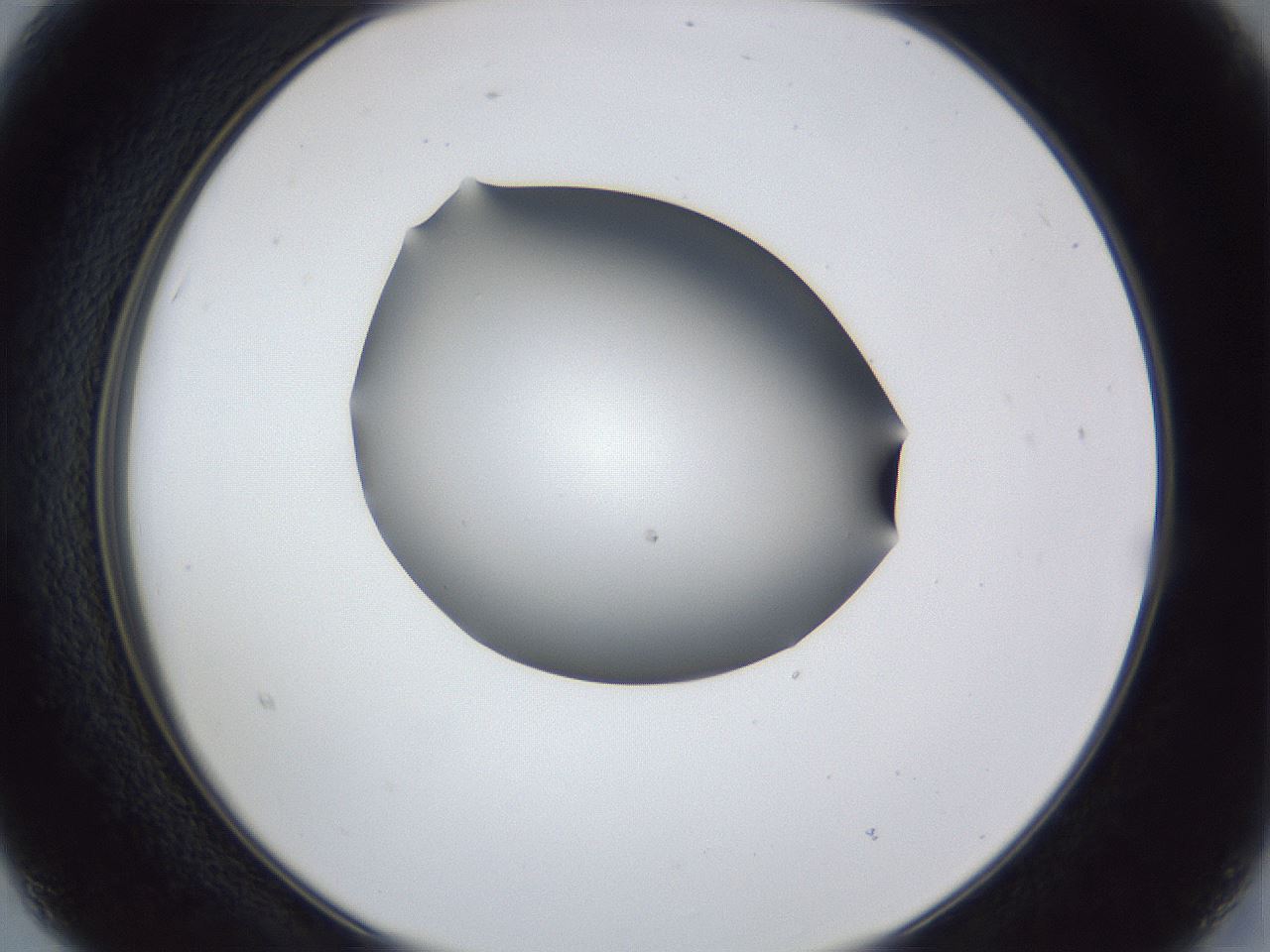 folderID44_plateID1044_batchID2102_wellNum15_profileID1_d2_r46565_ef.jpg