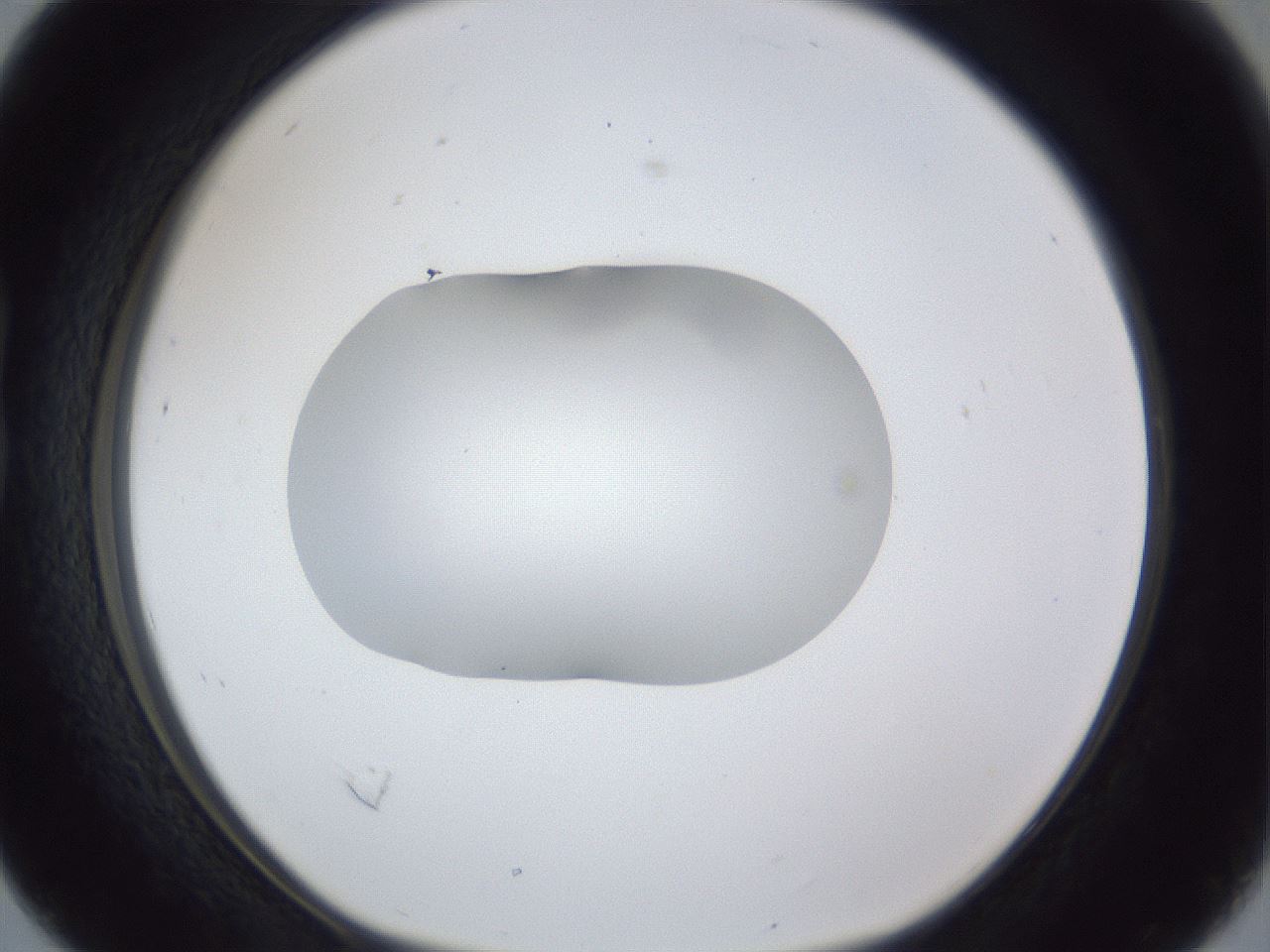 folderID44_plateID1044_batchID2102_wellNum16_profileID1_d1_r46566_ef.jpg