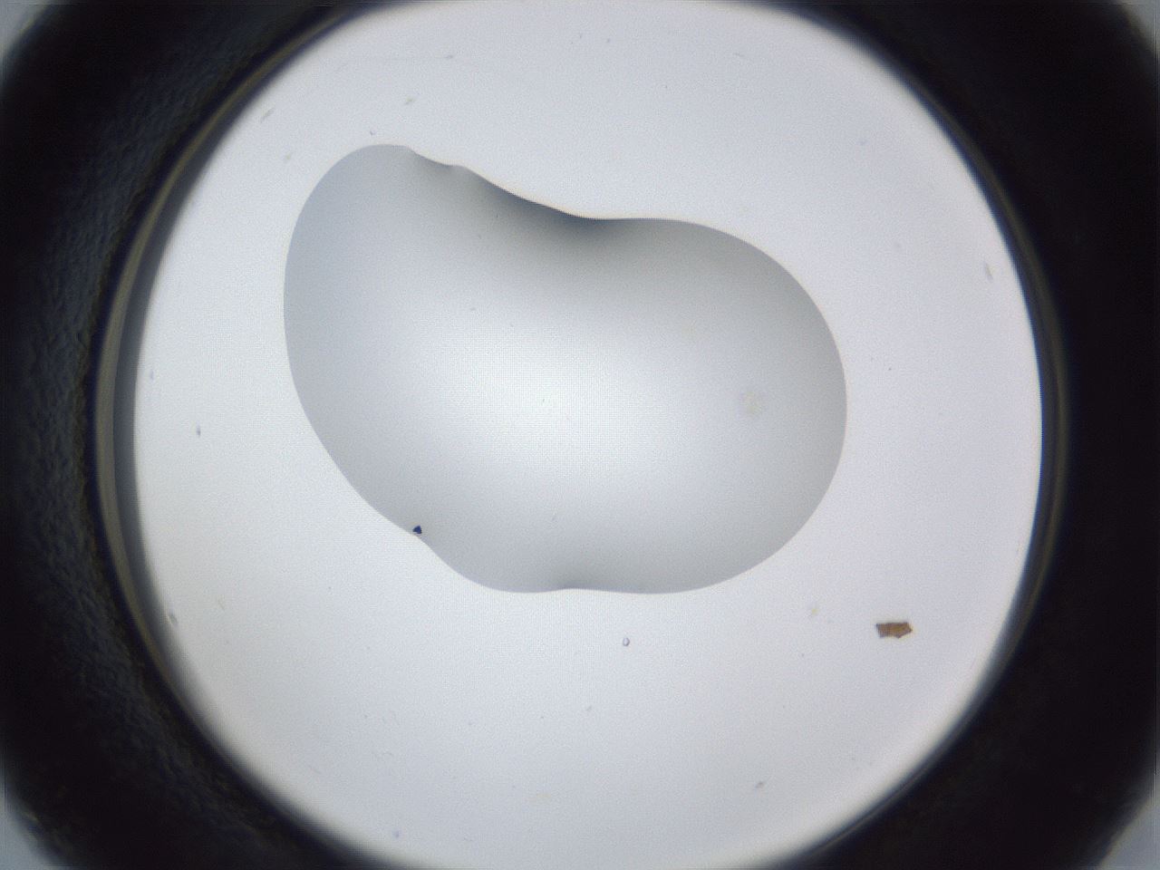 folderID44_plateID1044_batchID2102_wellNum16_profileID1_d2_r46567_ef.jpg