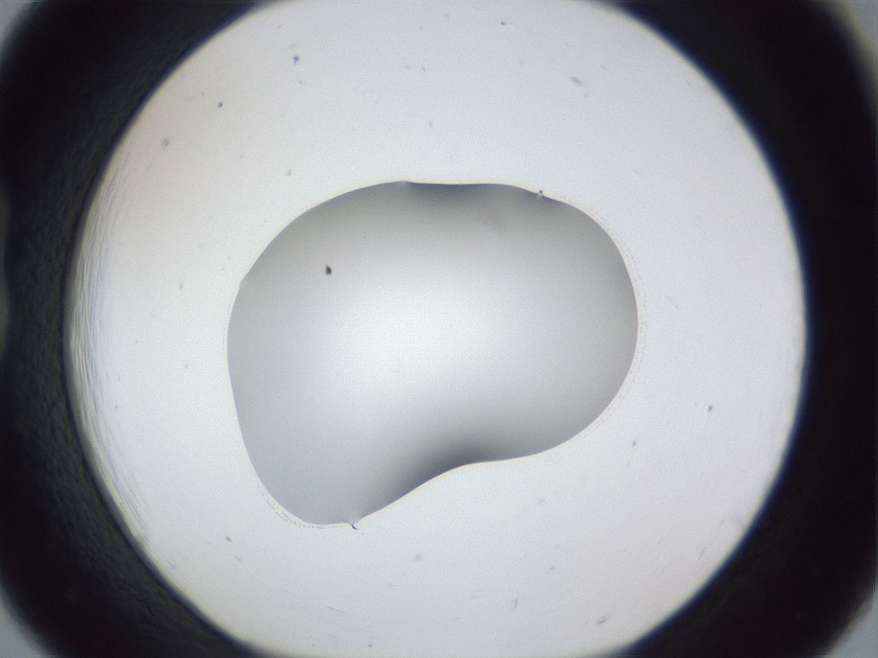 folderID44_plateID1044_batchID2102_wellNum18_profileID1_d1_r46570_ef.jpg