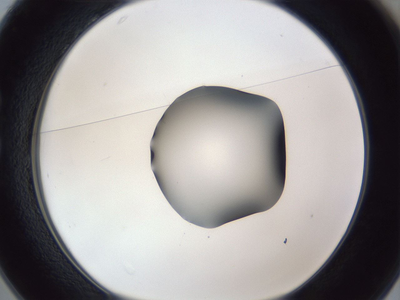 folderID44_plateID1044_batchID2102_wellNum25_profileID1_d1_r46584_ef.jpg