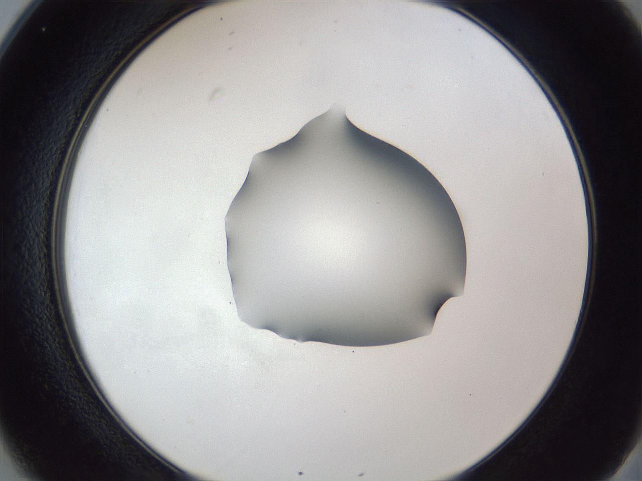 folderID44_plateID1044_batchID2102_wellNum25_profileID1_d2_r46585_ef.jpg