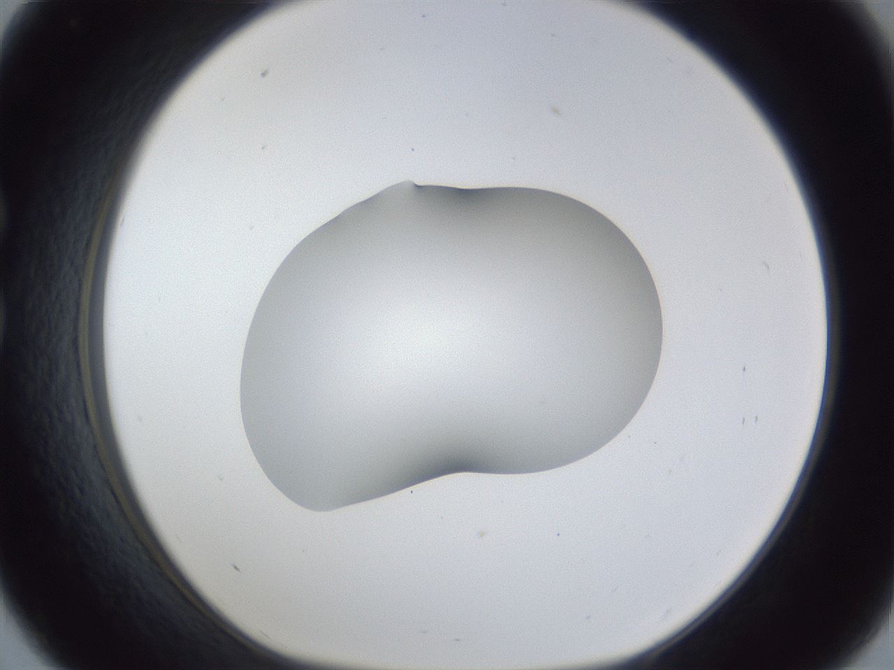 folderID44_plateID1044_batchID2102_wellNum33_profileID1_d1_r46600_ef.jpg