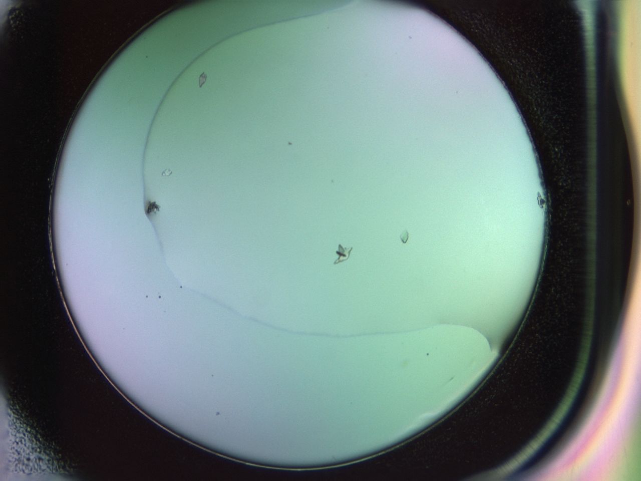 02nh_E1_ImagerDefaults_9.jpg
