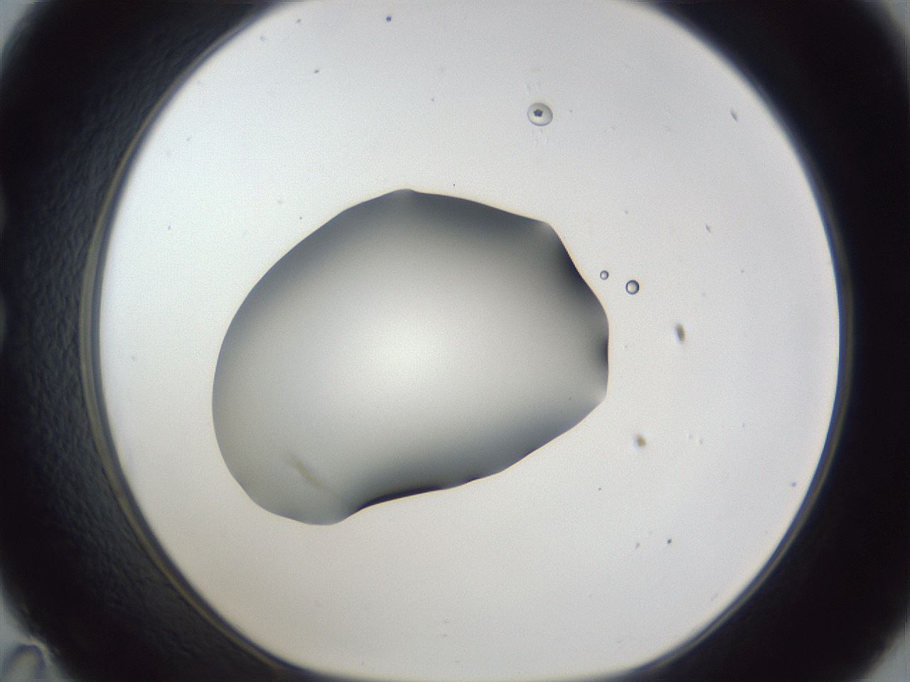 folderID44_plateID1044_batchID2102_wellNum35_profileID1_d1_r46604_ef.jpg