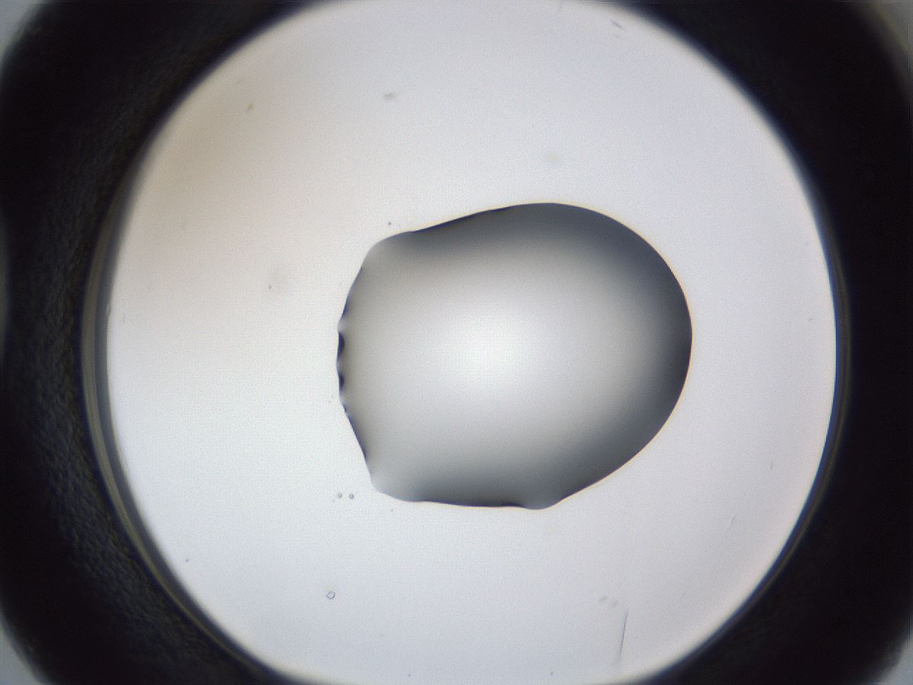 folderID44_plateID1044_batchID2102_wellNum38_profileID1_d1_r46610_ef.jpg