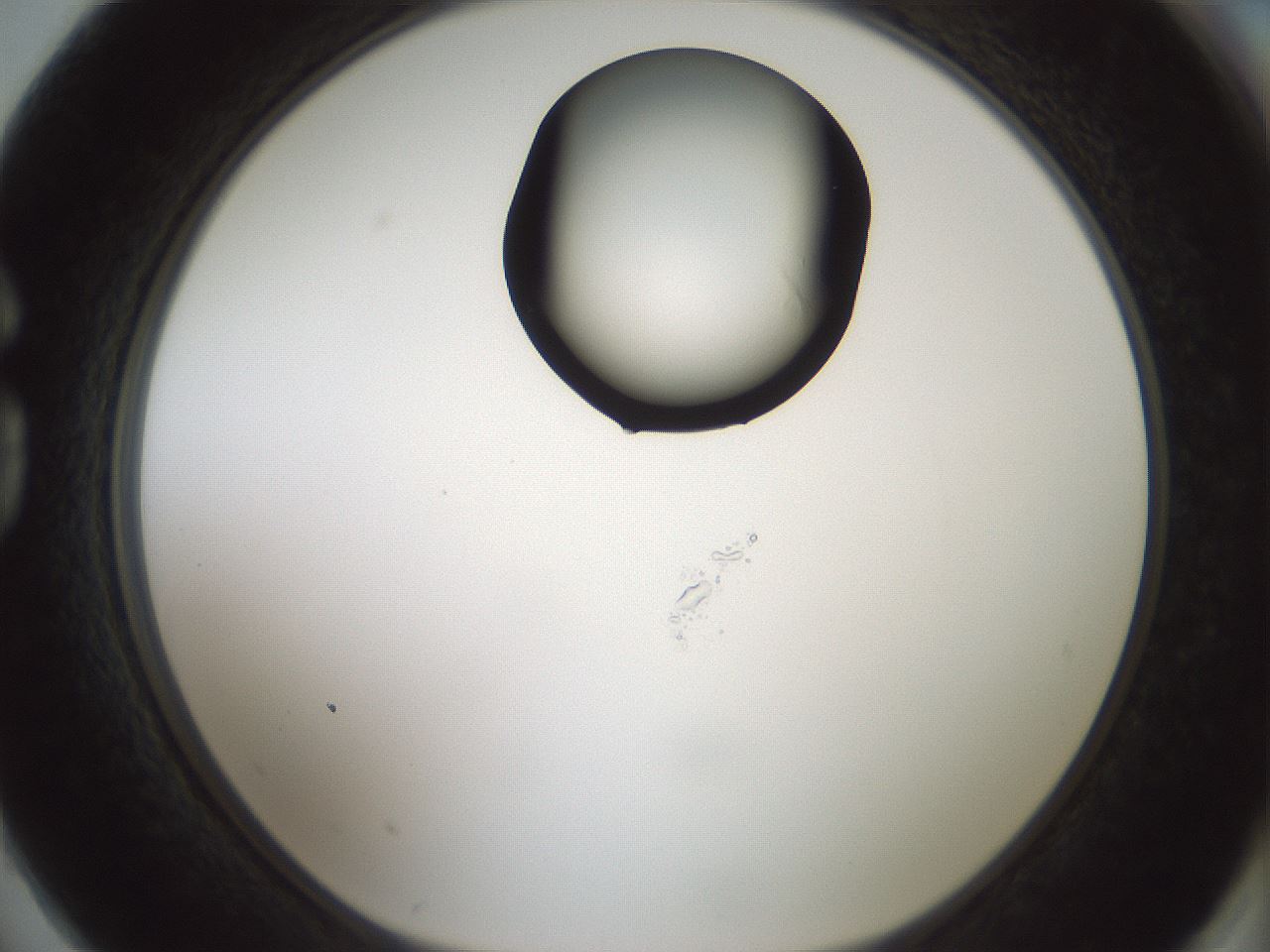 folderID429_plateID1429_batchID5435_wellNum74_profileID1_d1_r89259_ef.jpg