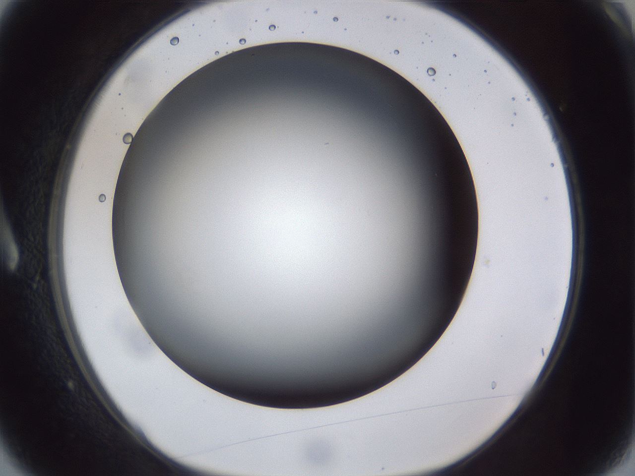 folderID44_plateID1044_batchID2102_wellNum3_profileID1_d1_r46540_ef.jpg