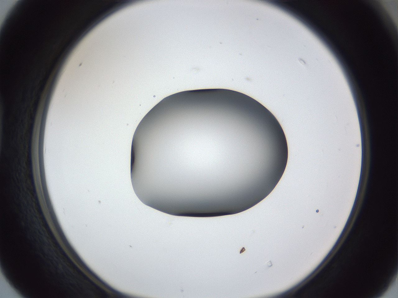 folderID44_plateID1044_batchID2102_wellNum40_profileID1_d1_r46614_ef.jpg