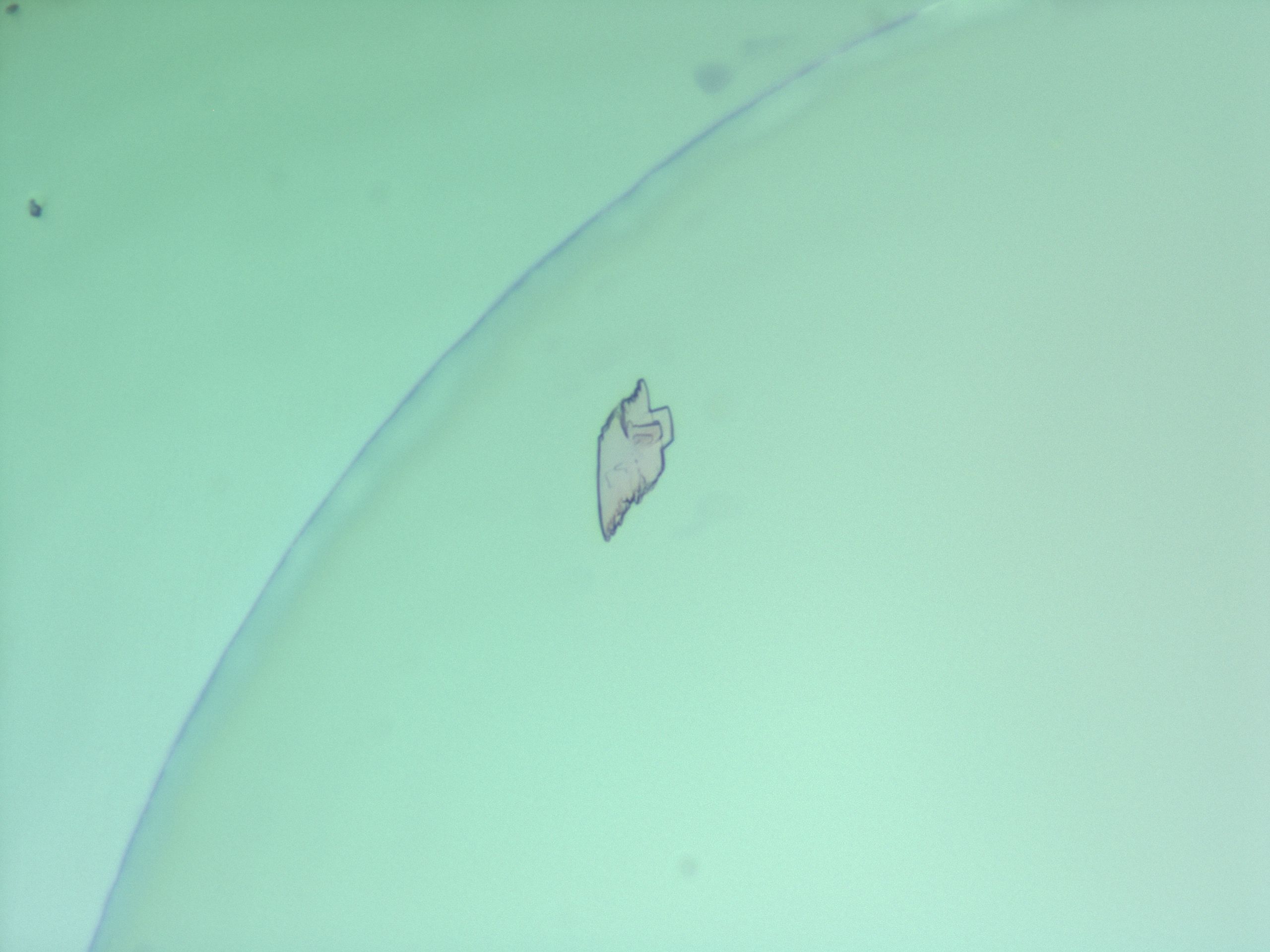 02nh_E1_HighResolution_9.jpg