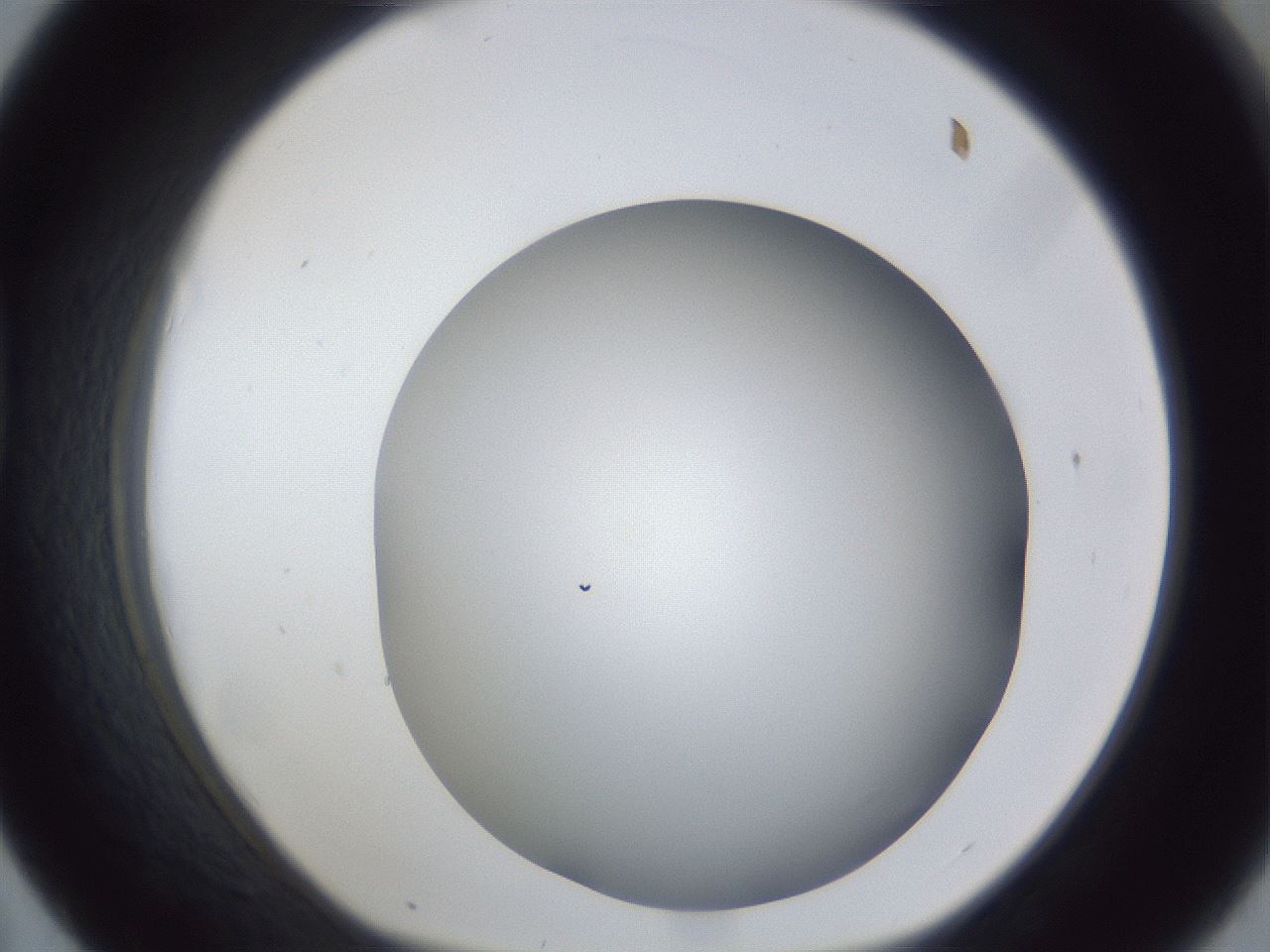 folderID44_plateID1044_batchID2102_wellNum43_profileID1_d1_r46620_ef.jpg