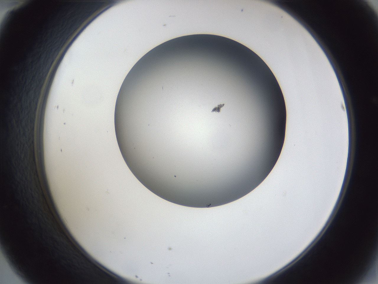 folderID44_plateID1044_batchID2102_wellNum46_profileID1_d2_r46627_ef.jpg