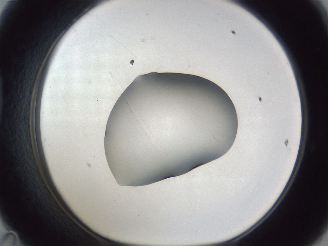 folderID44_plateID1044_batchID2102_wellNum47_profileID1_d1_r46628_ef.jpg