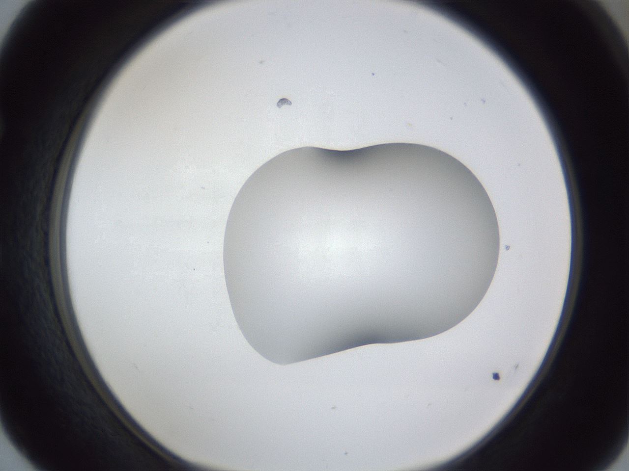 folderID44_plateID1044_batchID2102_wellNum52_profileID1_d1_r46638_ef.jpg