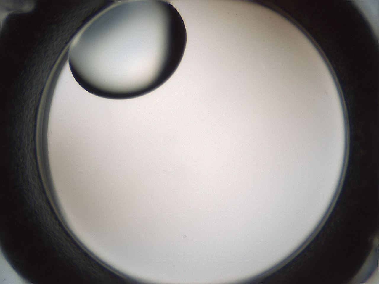 folderID429_plateID1429_batchID5435_wellNum72_profileID1_d2_r89256_ef.jpg