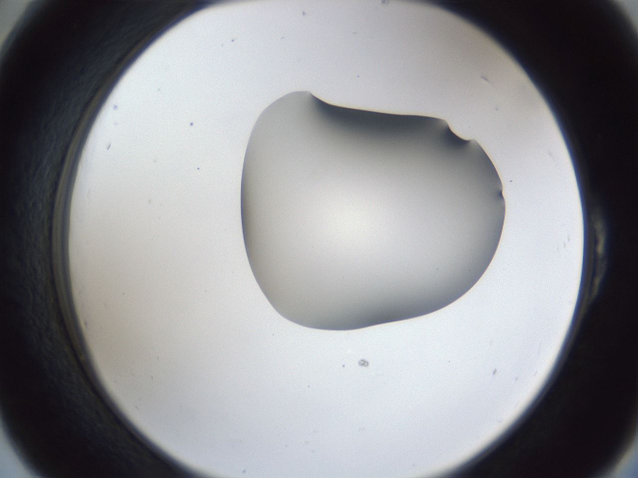 folderID44_plateID1044_batchID2102_wellNum54_profileID1_d2_r46643_ef.jpg