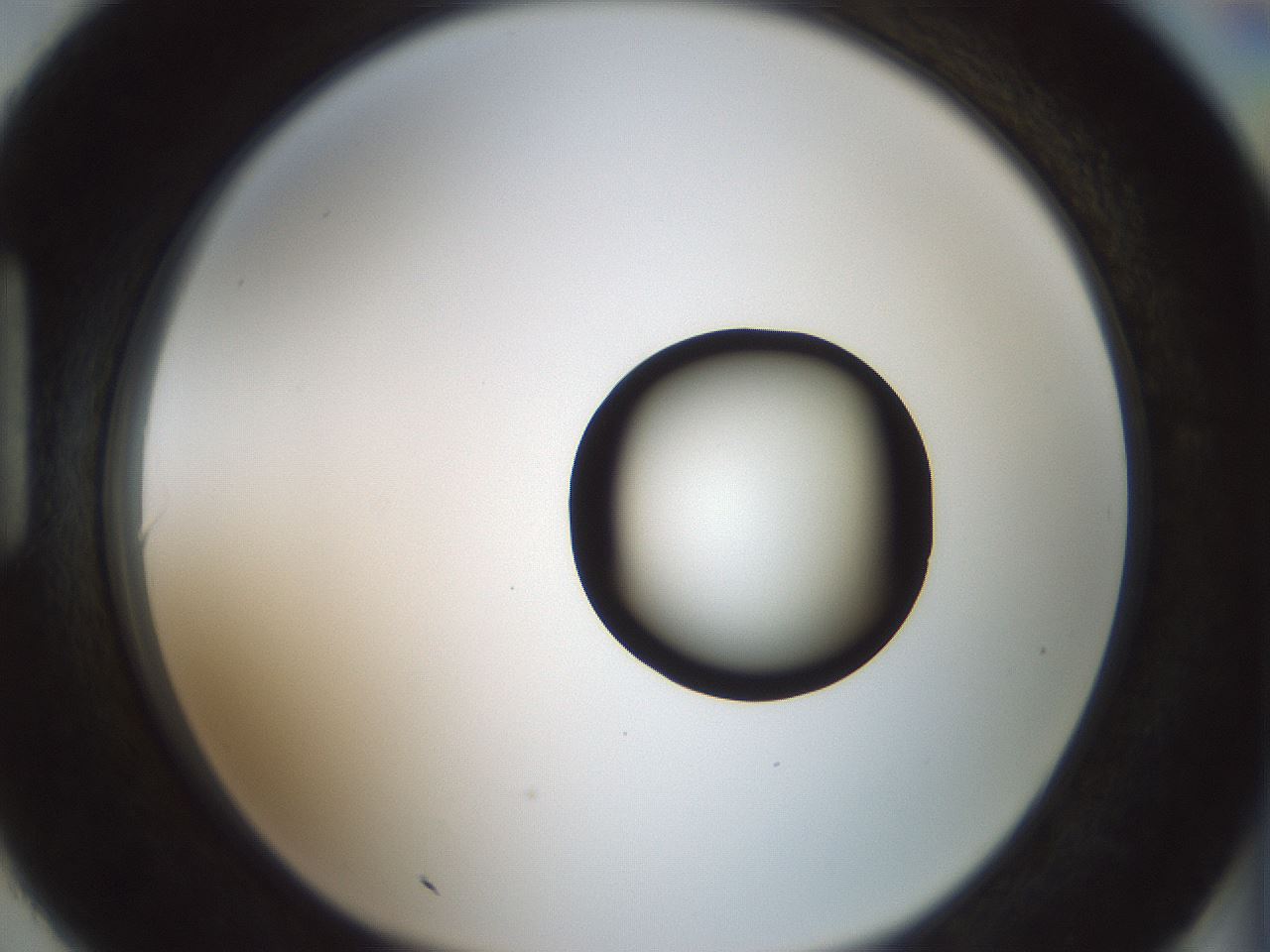 folderID429_plateID1429_batchID5435_wellNum90_profileID1_d1_r89291_ef.jpg