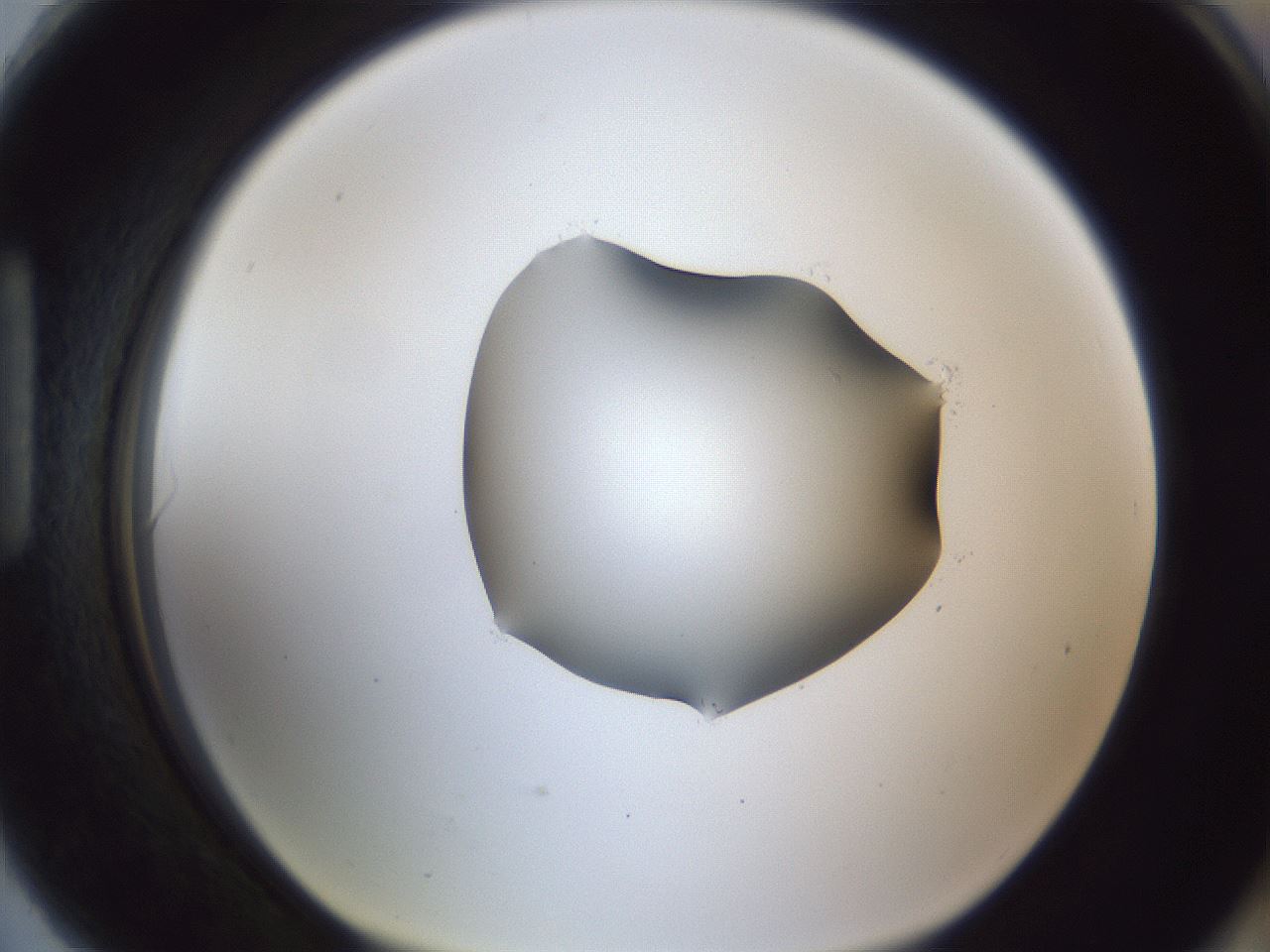 folderID44_plateID1044_batchID2102_wellNum90_profileID1_d1_r46714_ef.jpg