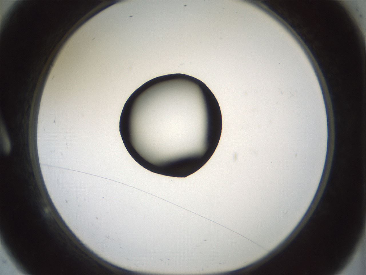 folderID429_plateID1429_batchID5435_wellNum9_profileID1_d1_r89129_ef.jpg