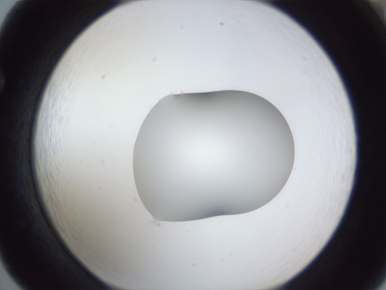 folderID44_plateID1044_batchID2102_wellNum65_profileID1_d1_r46664_ef.jpg