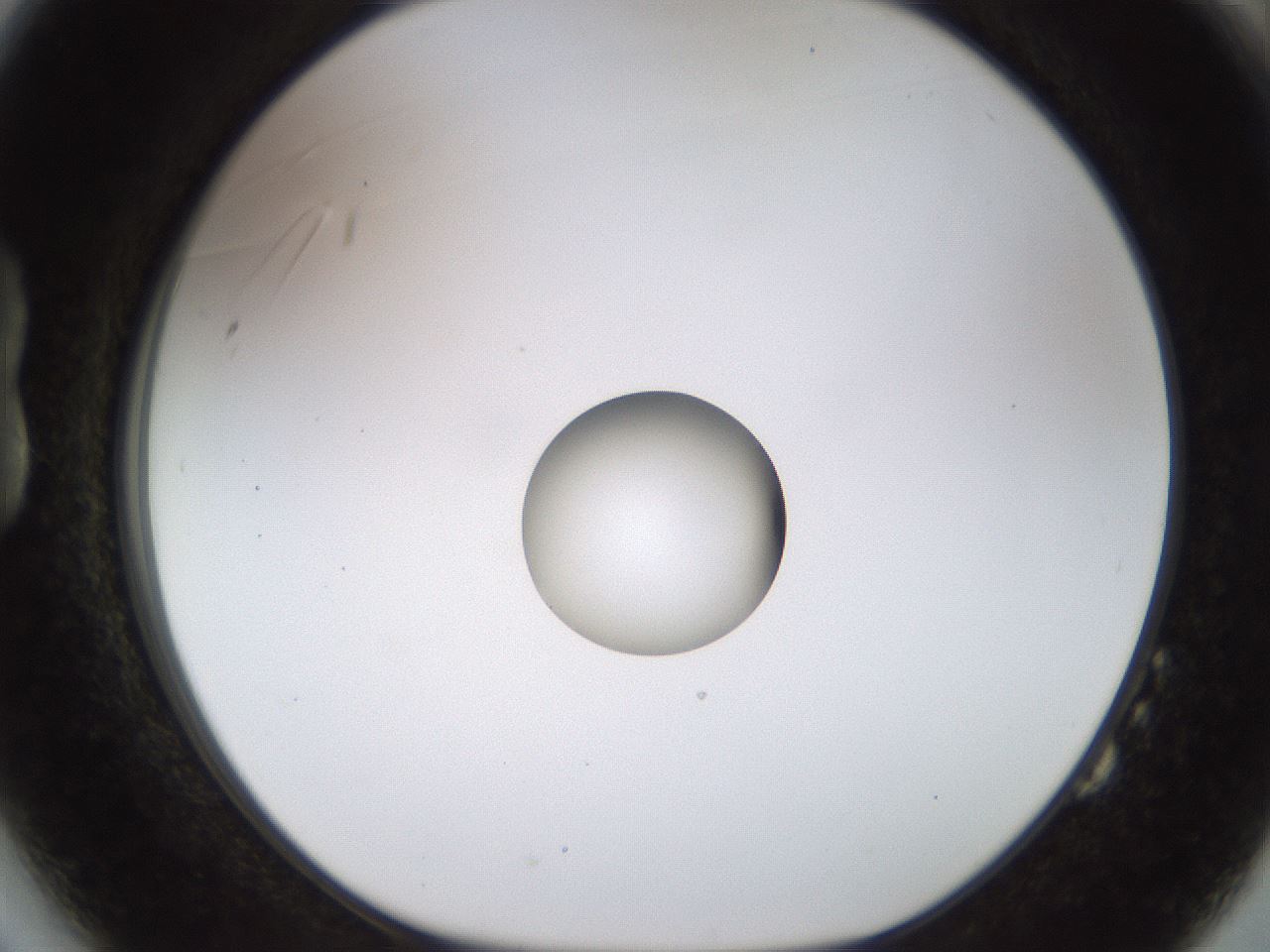 folderID450_plateID1450_batchID5527_wellNum14_profileID1_d1_r91913_ef.jpg