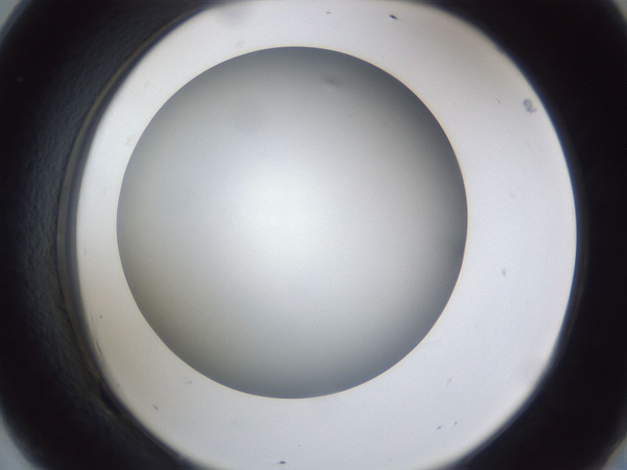 folderID44_plateID1044_batchID2102_wellNum69_profileID1_d2_r46673_ef.jpg