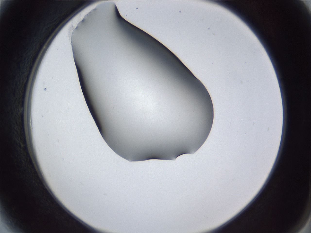 folderID44_plateID1044_batchID2102_wellNum6_profileID1_d2_r46547_ef.jpg