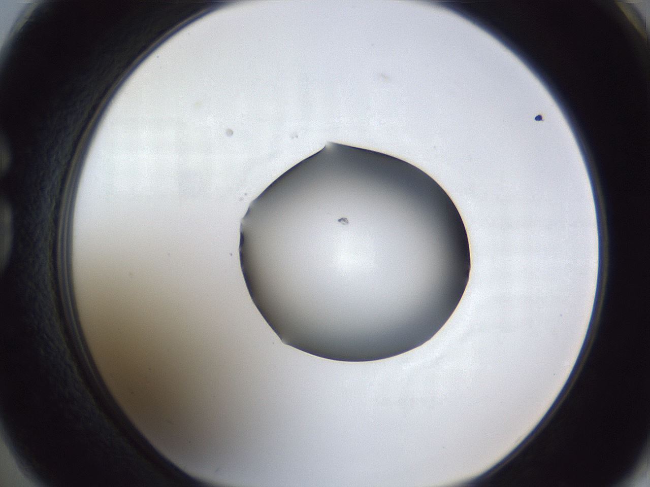folderID44_plateID1044_batchID2102_wellNum74_profileID1_d1_r46682_ef.jpg