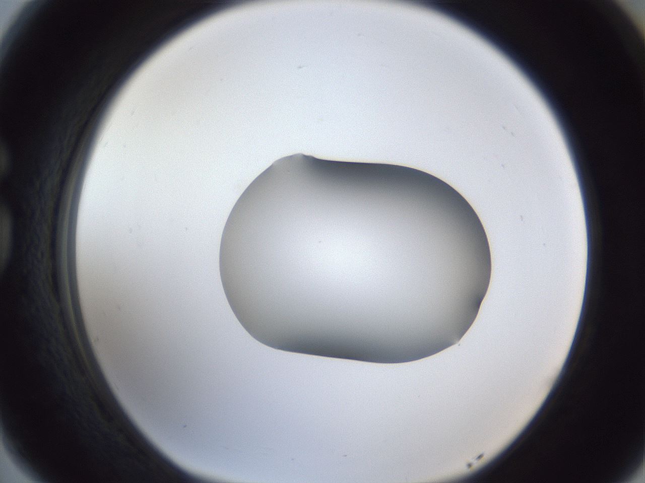 folderID44_plateID1044_batchID2102_wellNum77_profileID1_d1_r46688_ef.jpg