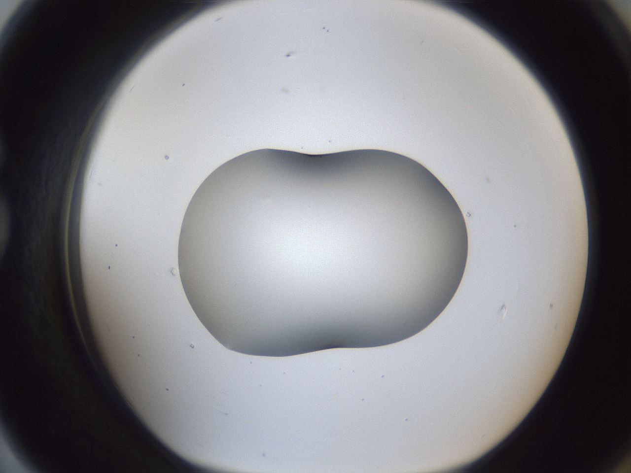 folderID44_plateID1044_batchID2102_wellNum79_profileID1_d1_r46692_ef.jpg