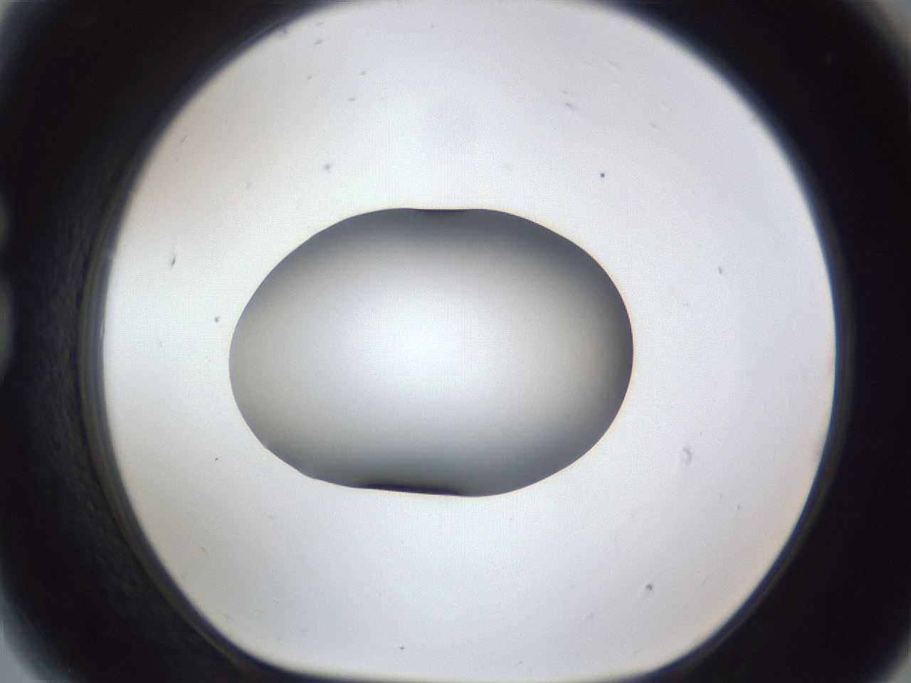 folderID44_plateID1044_batchID2102_wellNum81_profileID1_d1_r46696_ef.jpg