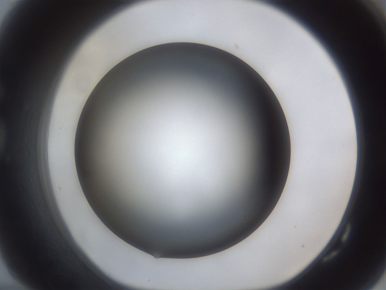 folderID44_plateID1044_batchID2102_wellNum82_profileID1_d1_r46698_ef.jpg