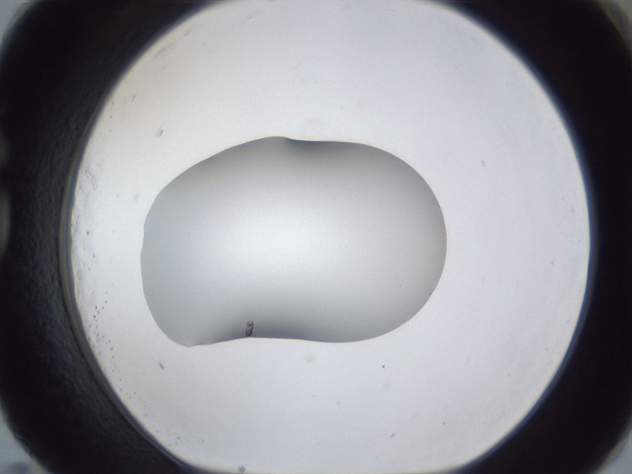 folderID44_plateID1044_batchID2102_wellNum83_profileID1_d1_r46700_ef.jpg