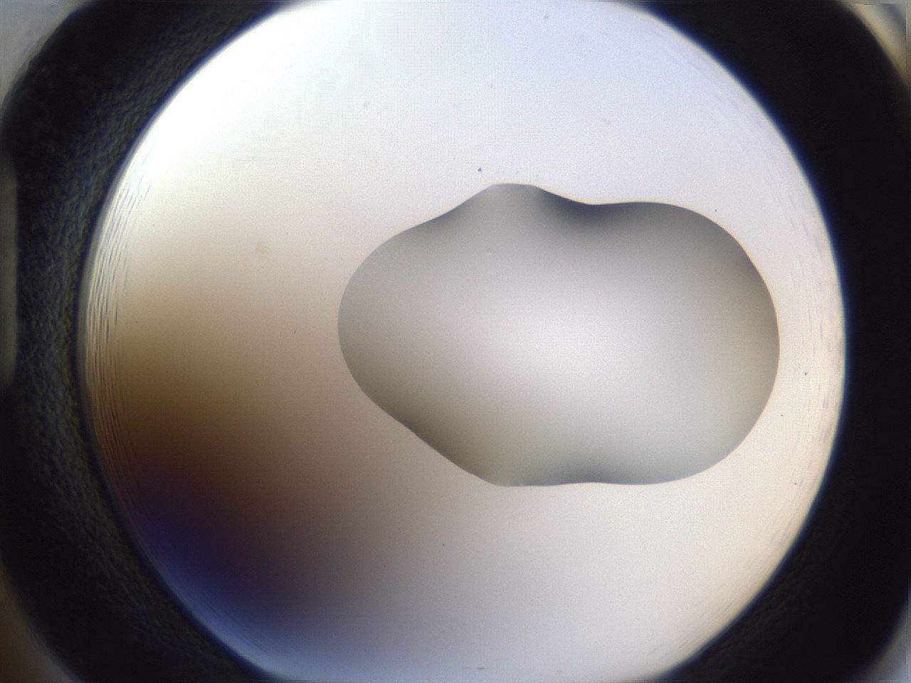 folderID44_plateID1044_batchID2102_wellNum85_profileID1_d1_r46704_ef.jpg