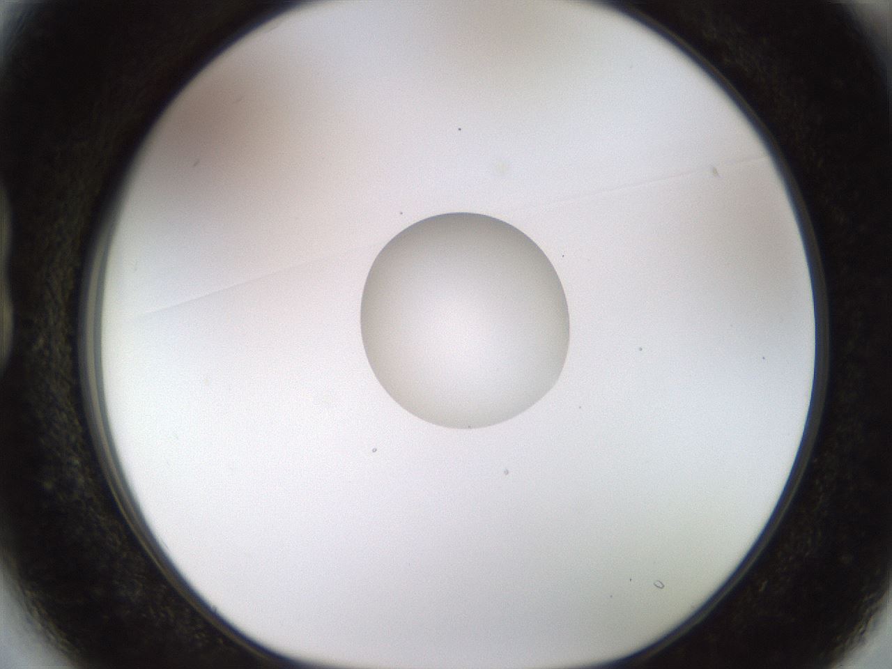 folderID450_plateID1450_batchID5527_wellNum13_profileID1_d1_r91912_ef.jpg