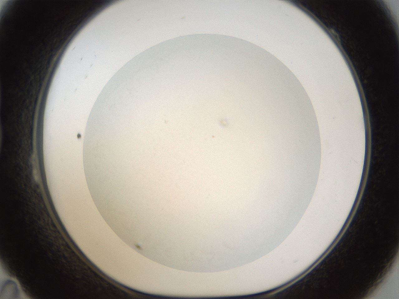 folderID45_plateID1045_batchID2122_wellNum23_profileID1_d1_r47038_ef.jpg