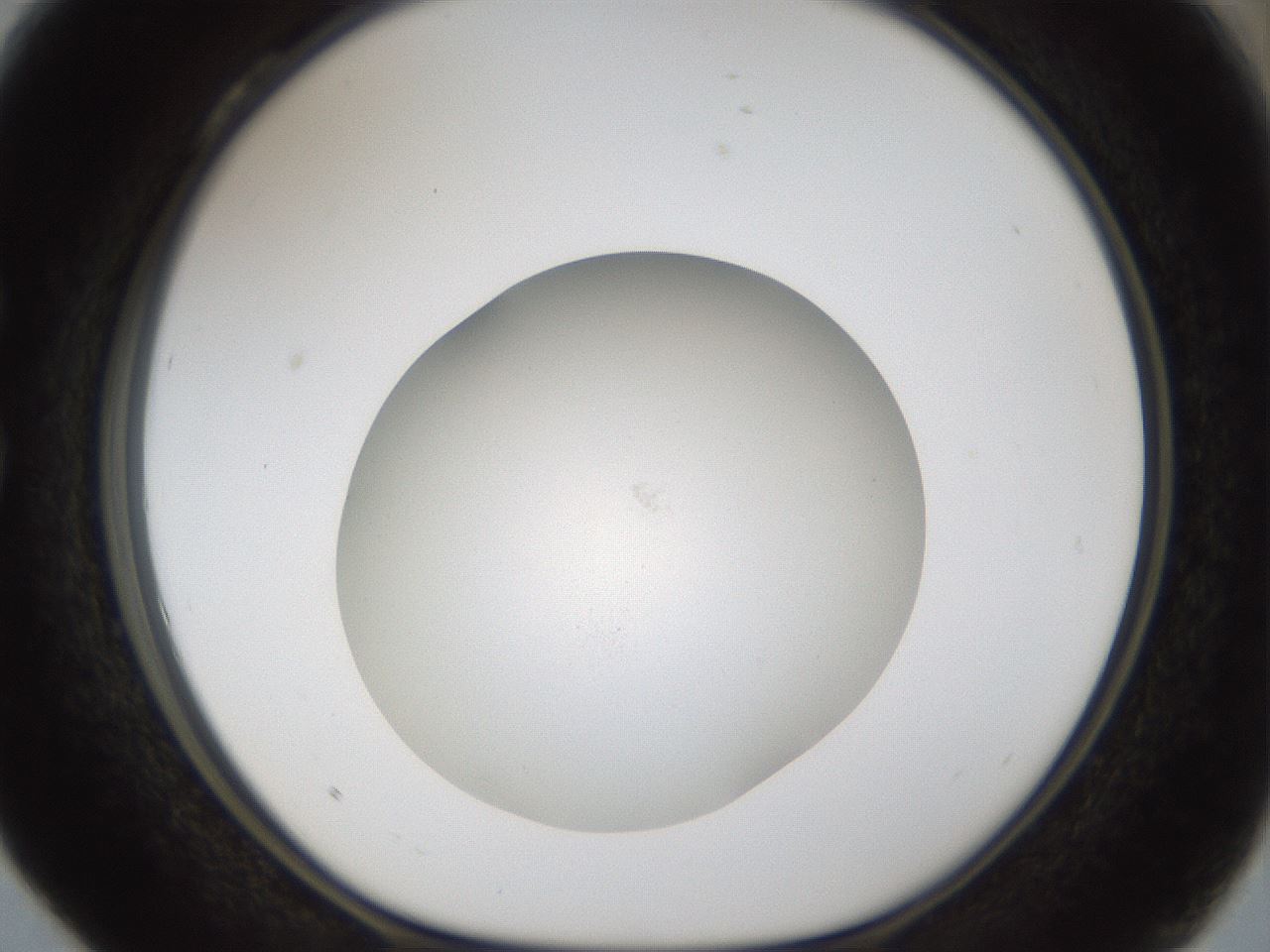 folderID45_plateID1045_batchID2122_wellNum28_profileID1_d1_r47043_ef.jpg