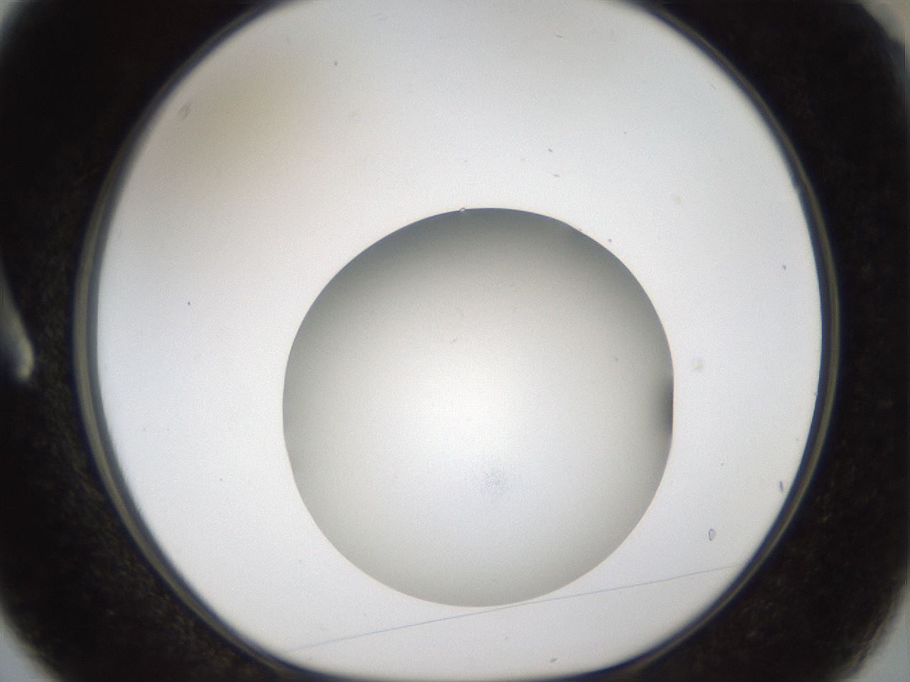 folderID45_plateID1045_batchID2122_wellNum3_profileID1_d1_r47018_ef.jpg