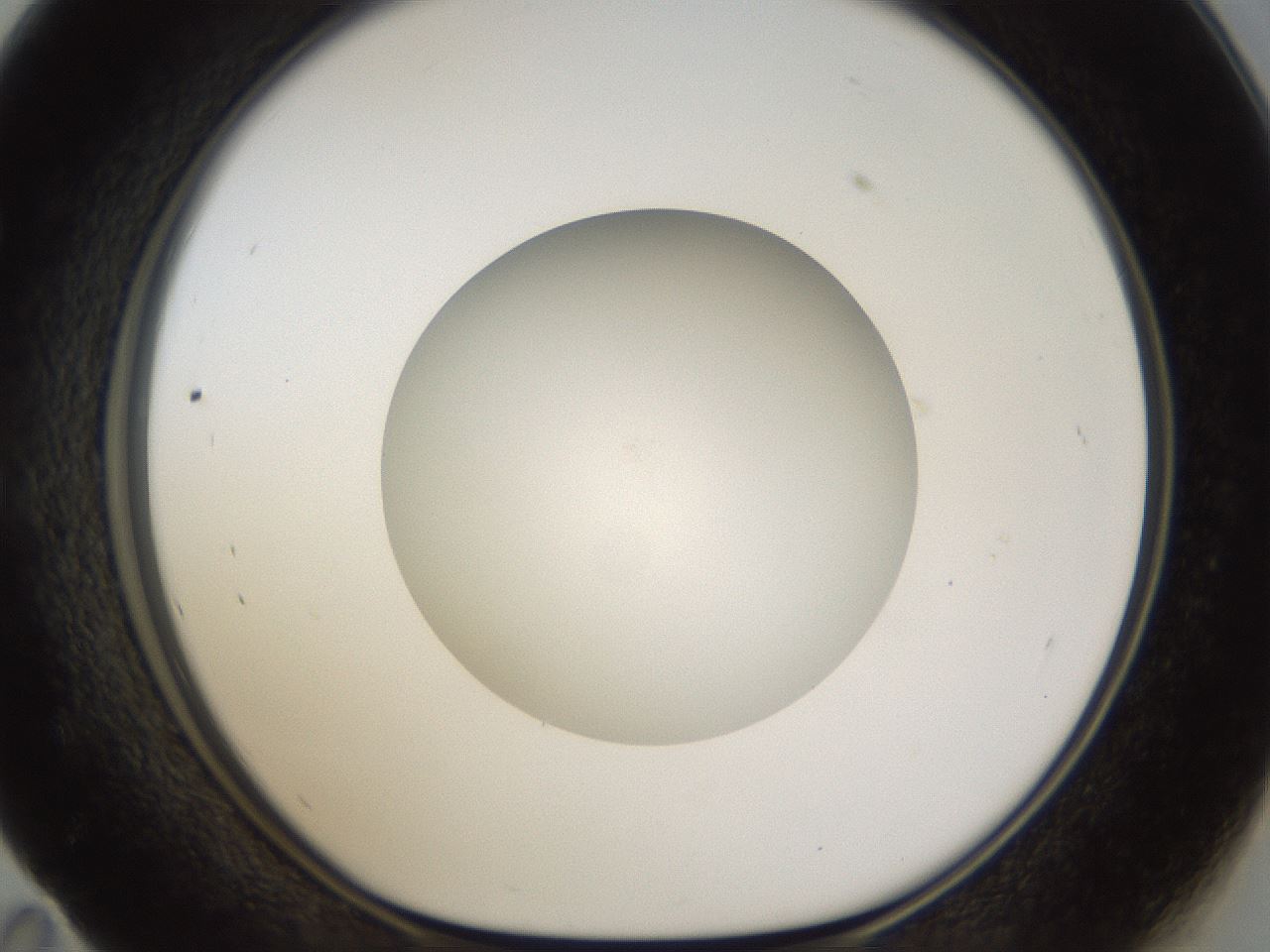 folderID45_plateID1045_batchID2122_wellNum59_profileID1_d1_r47074_ef.jpg
