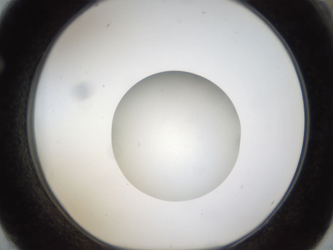 folderID45_plateID1045_batchID2122_wellNum62_profileID1_d1_r47077_ef.jpg