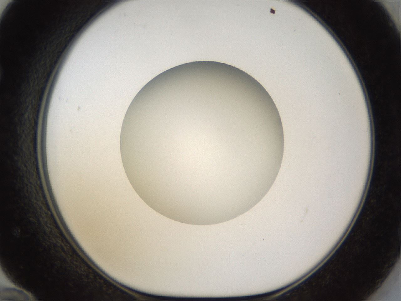 folderID45_plateID1045_batchID2122_wellNum72_profileID1_d1_r47087_ef.jpg