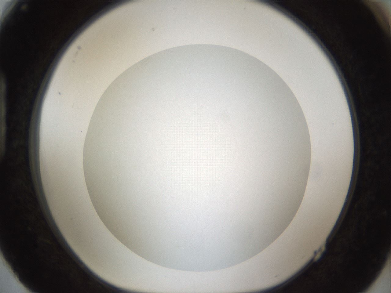 folderID45_plateID1045_batchID2122_wellNum88_profileID1_d1_r47103_ef.jpg