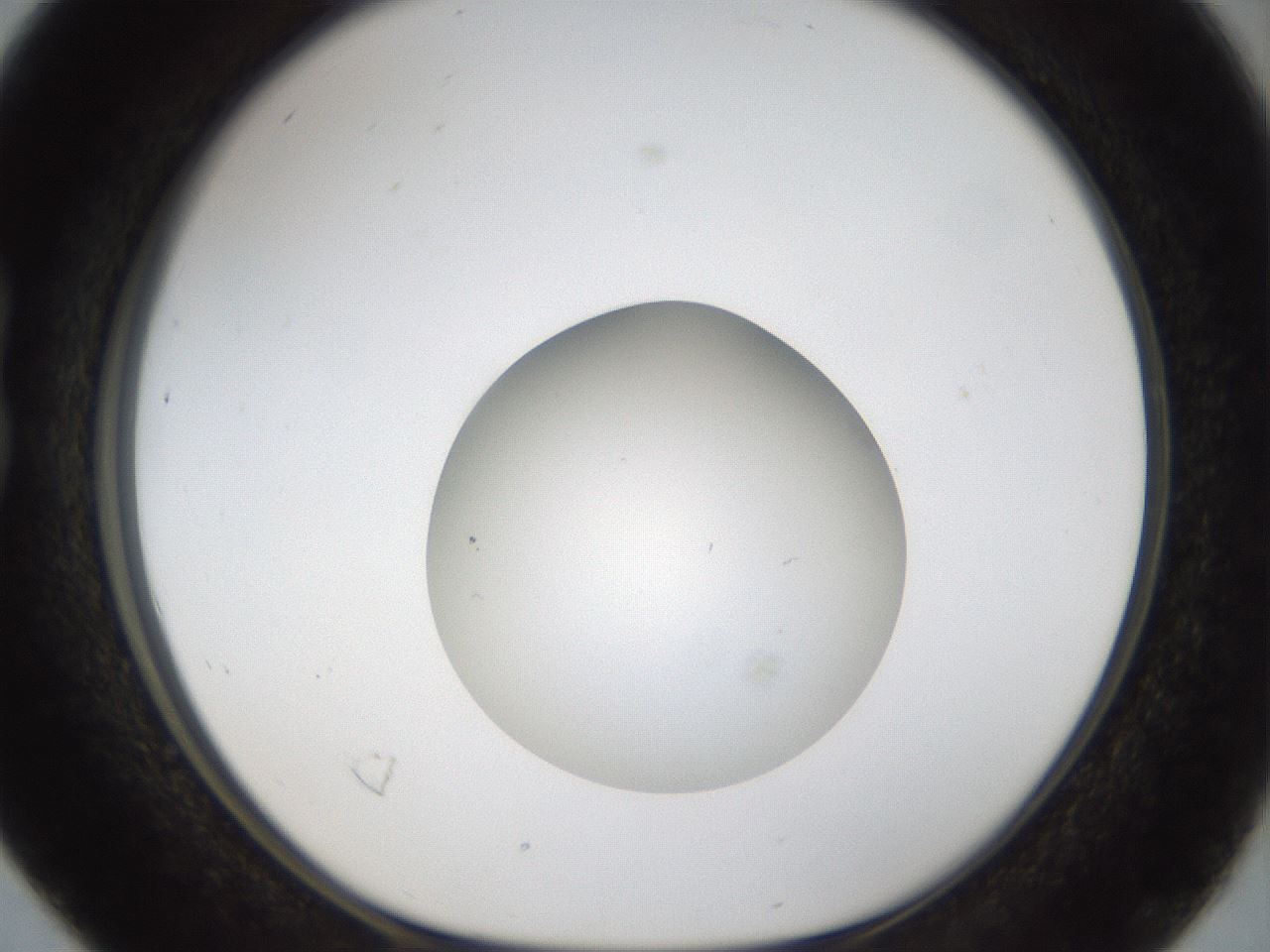 folderID46_plateID1046_batchID2119_wellNum16_profileID1_d1_r46743_ef.jpg