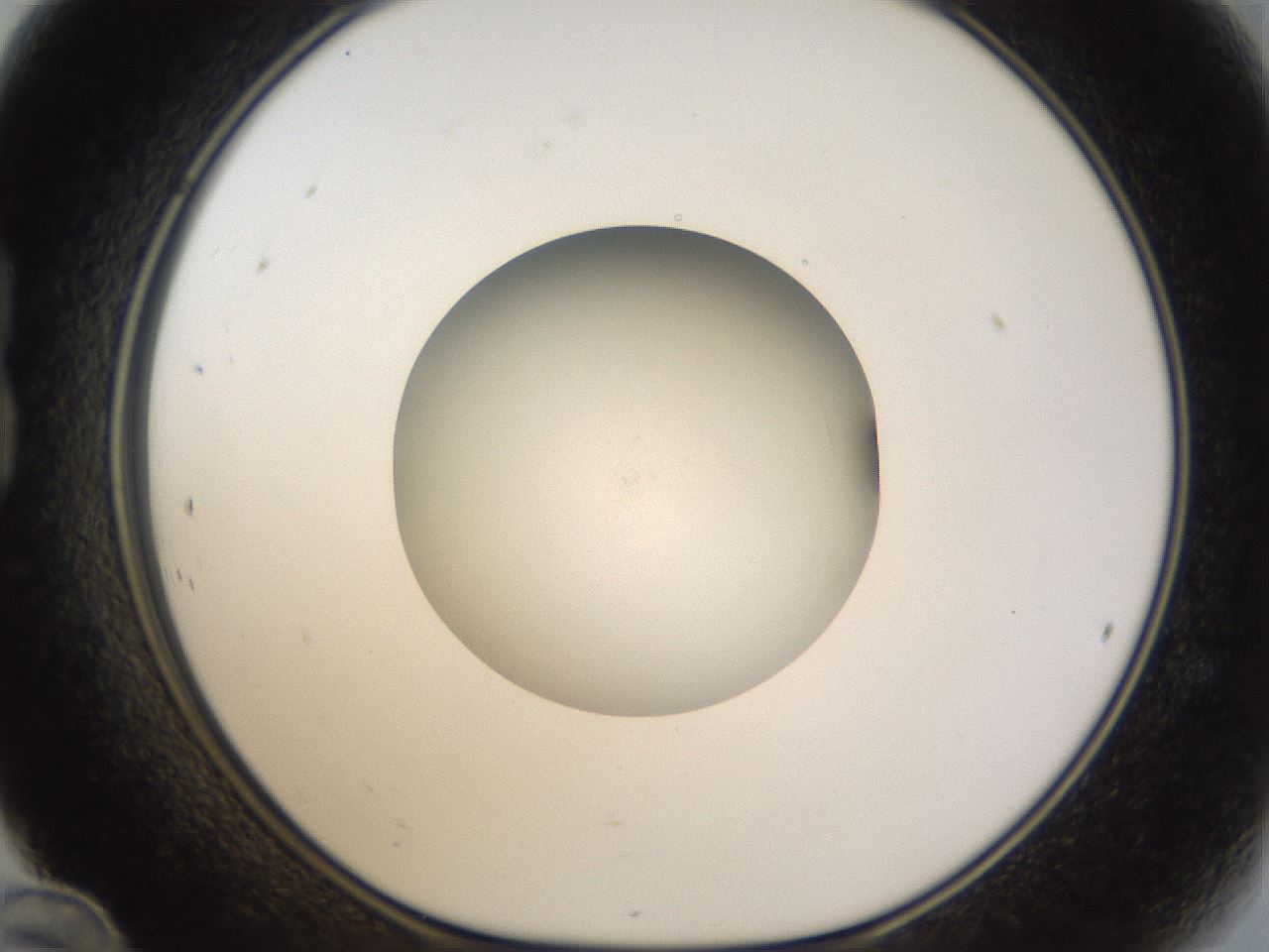 folderID46_plateID1046_batchID2119_wellNum24_profileID1_d1_r46751_ef.jpg