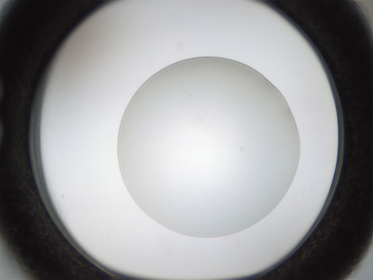 folderID46_plateID1046_batchID2119_wellNum27_profileID1_d1_r46754_ef.jpg