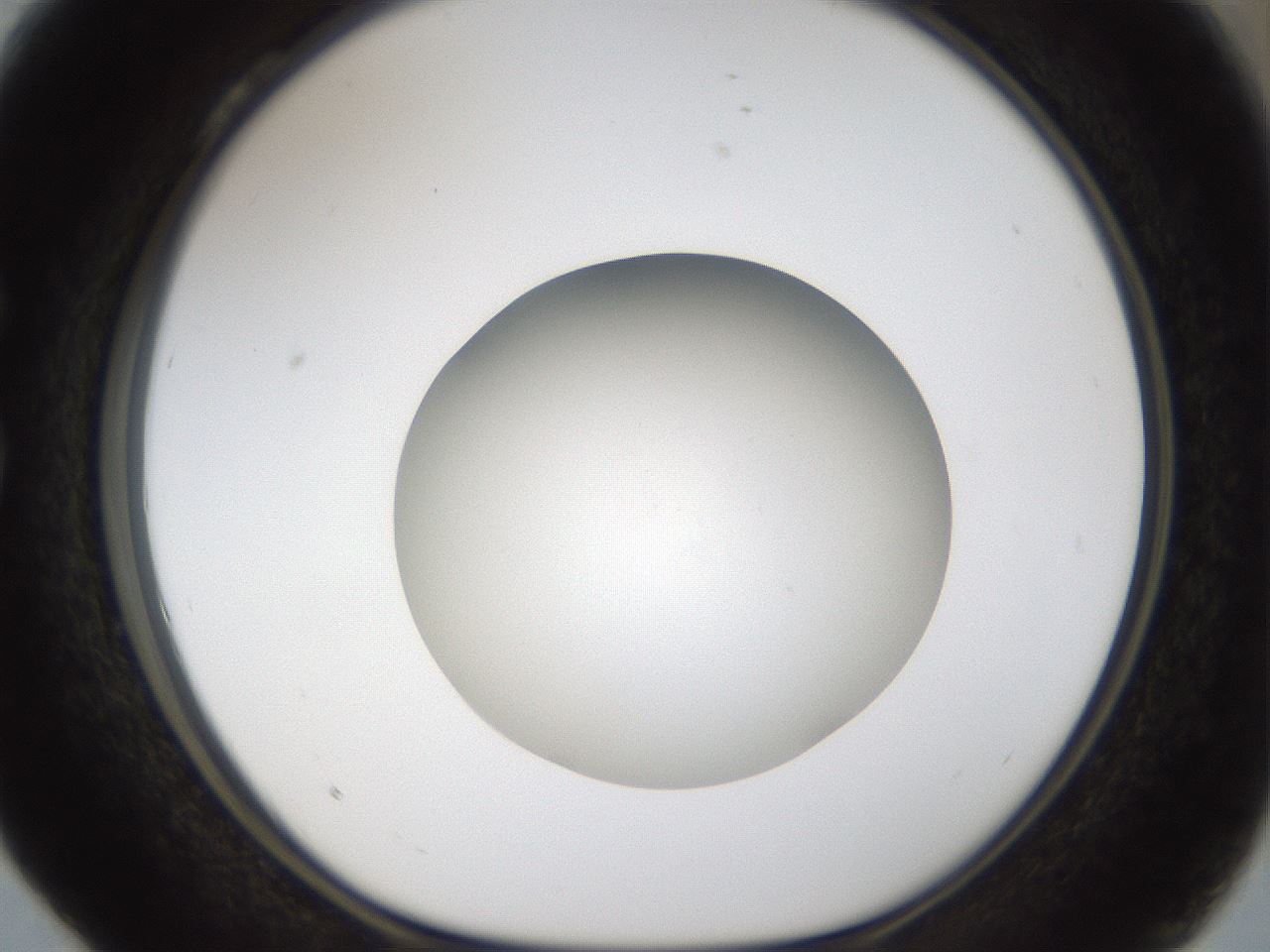 folderID46_plateID1046_batchID2119_wellNum28_profileID1_d1_r46755_ef.jpg
