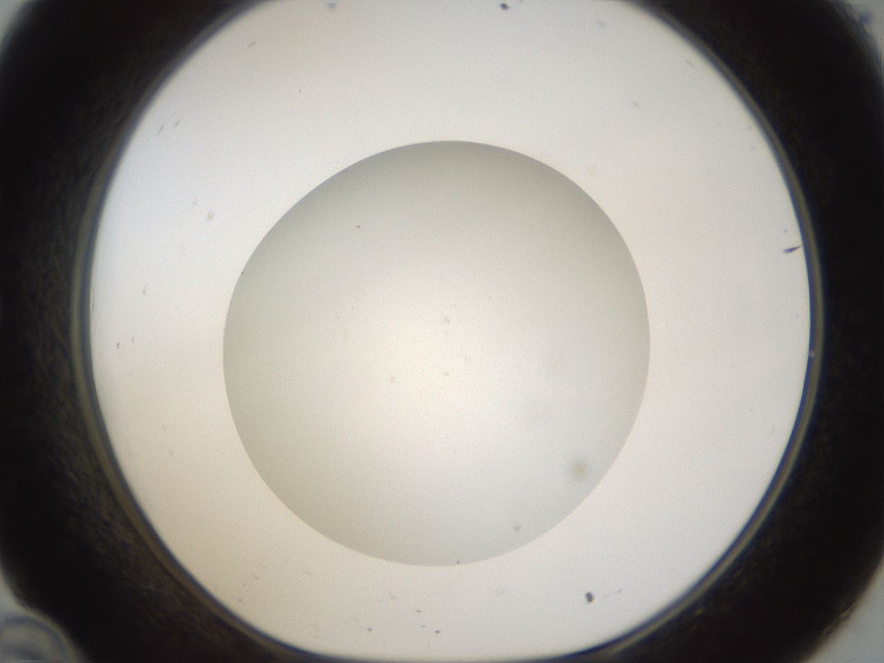 folderID46_plateID1046_batchID2119_wellNum34_profileID1_d1_r46761_ef.jpg