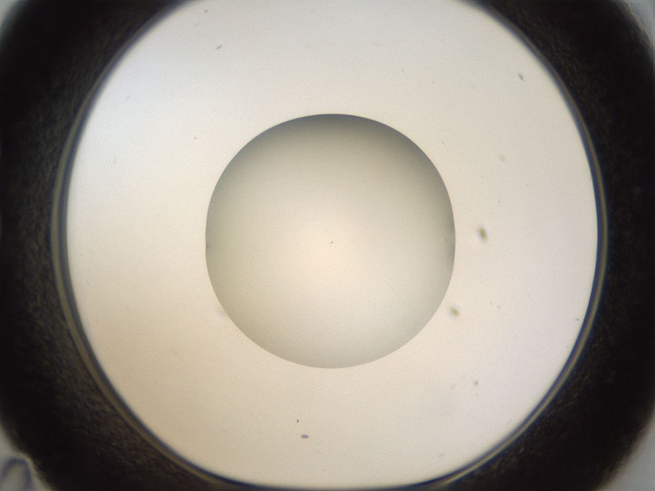 folderID46_plateID1046_batchID2119_wellNum35_profileID1_d1_r46762_ef.jpg