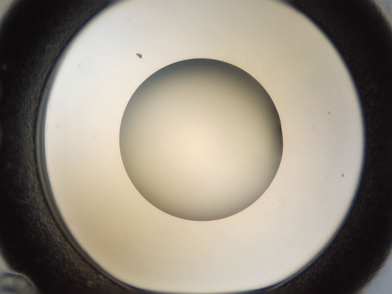 folderID46_plateID1046_batchID2119_wellNum36_profileID1_d1_r46763_ef.jpg